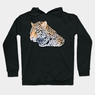 Tiger Hoodie